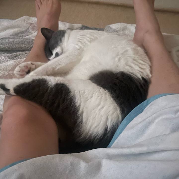 A9bf1de9 5f56 4003 ad06 2d2b5921f41c 1749686973708