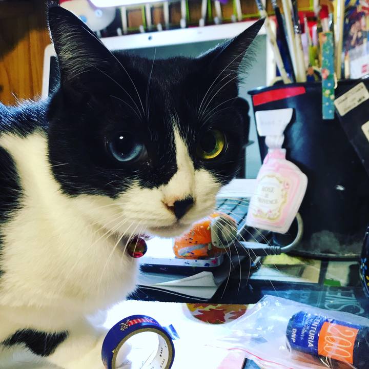 A9bff686 c1dc 4ad2 8b70 077ddd152d73 1575724969125