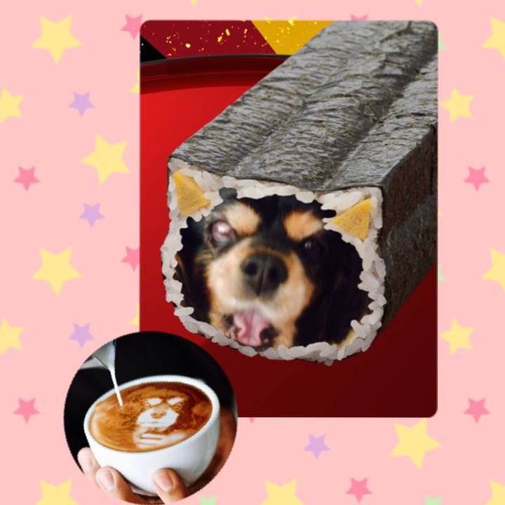 A9c02196 d9d1 49a5 a314 01bea05ea0c9 1517635057622