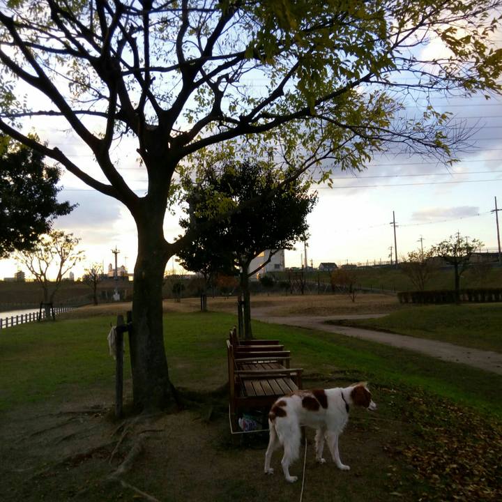 A9c031e1 6901 418e 918a 7ce22dc5d900 1512548890488