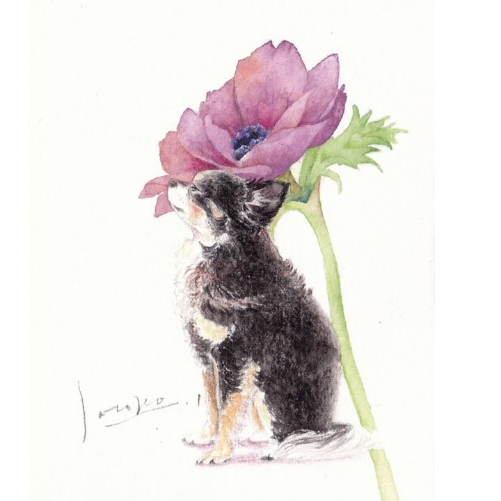 A9c041ef 47cc 406e bdfd 734f0f4f96cd 1670198781104