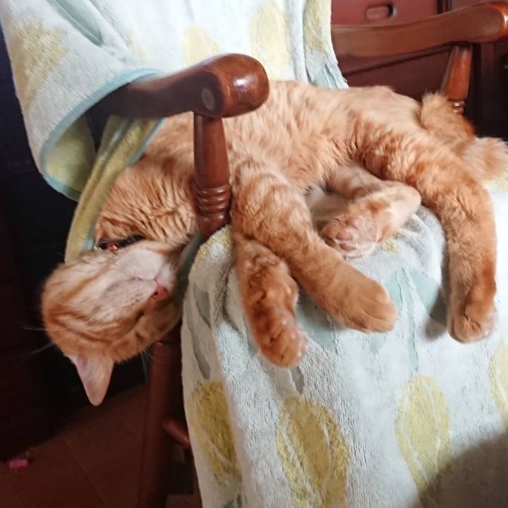 A9c06210 933b 441b 8f54 60f22084e65c 1656548848832