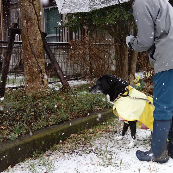 A9c06539 3479 4b66 87d4 7c656e75fb34 1742341940177