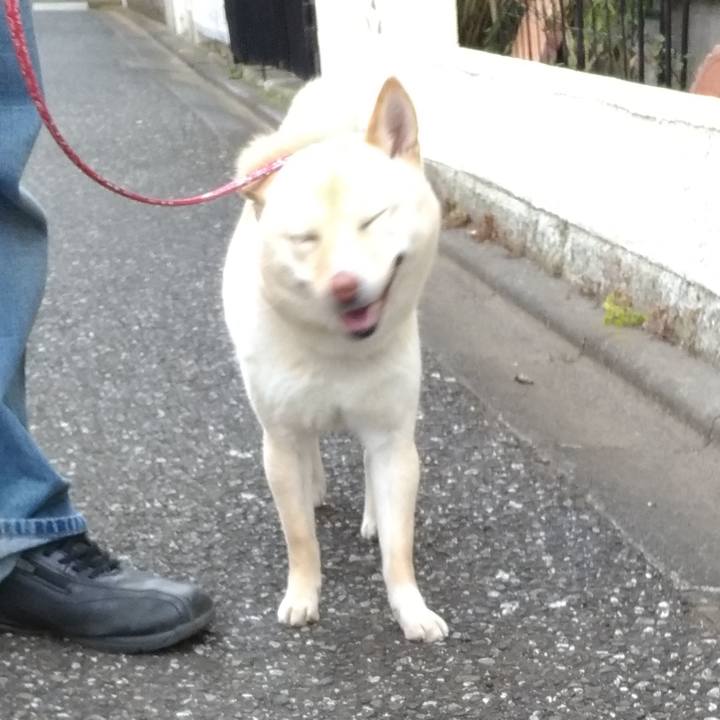 A9c077f9 df0c 4d66 a84d ce098986925f 1551011508314