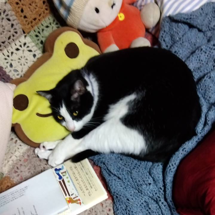 A9c0ac35 9839 4166 ab19 52e4fb26e11f 1670249345474