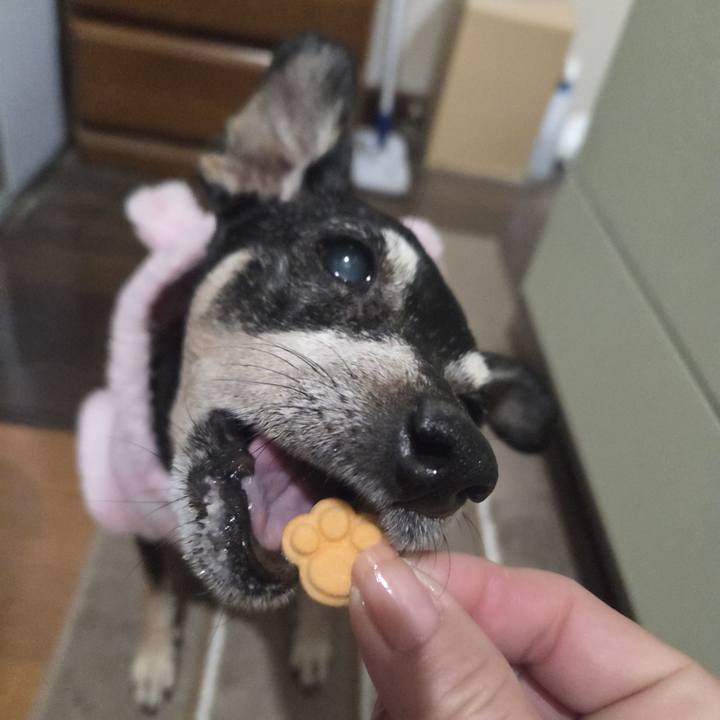 A9c0c596 4918 4910 a3de 7336e198a107 1769111366827