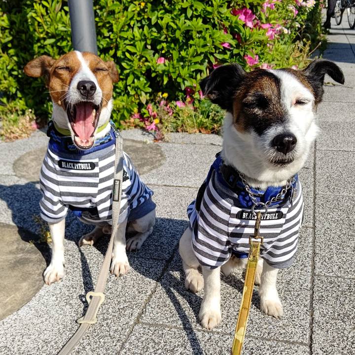 A9c0ed2f 9a1f 46d9 814d 00e7bbb1bb28 1619563423119