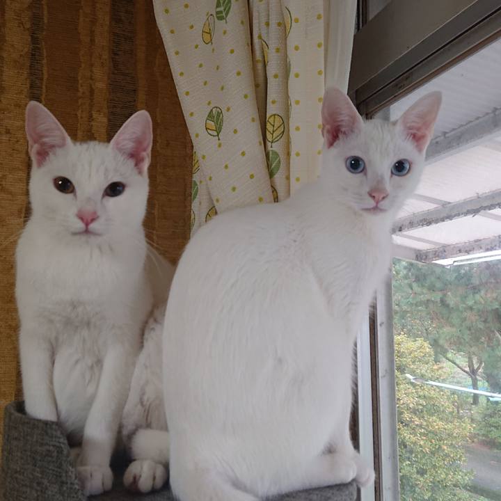 A9c0fb03 d5e6 413e 9cfb 9263fb2d329d 1576537473081