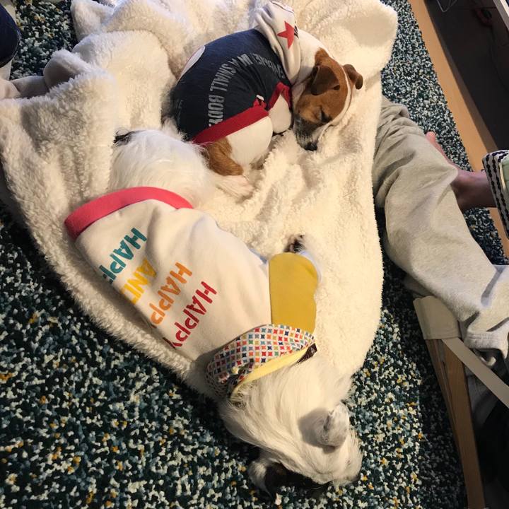 A9c10849 187c 4772 b5b4 0e712795be5c 1516446405123