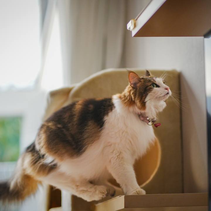 A9c11768 dfef 4ec3 a7a6 8366030eb058 1702972220332