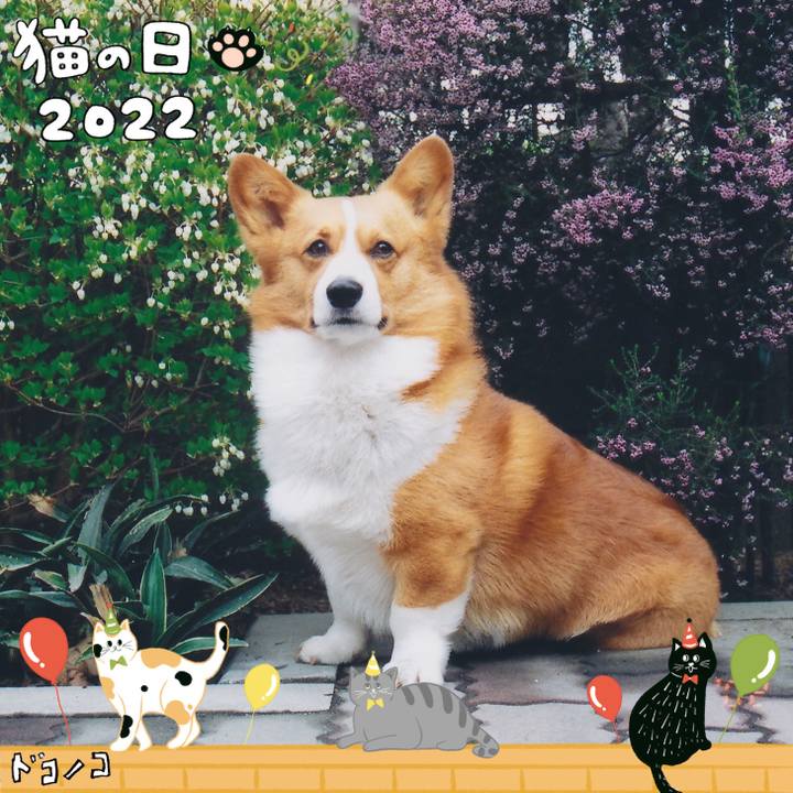 A9c18ac5 2834 49ee b957 0dd9ceb50c02 1645531020294