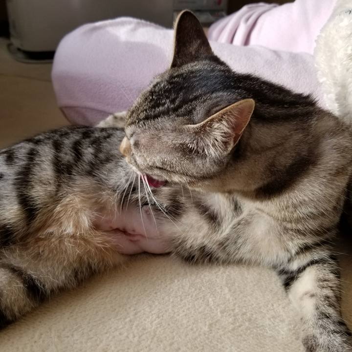 A9c1fa79 a17f 4c38 b104 db8c8f539ddb 1675213510427