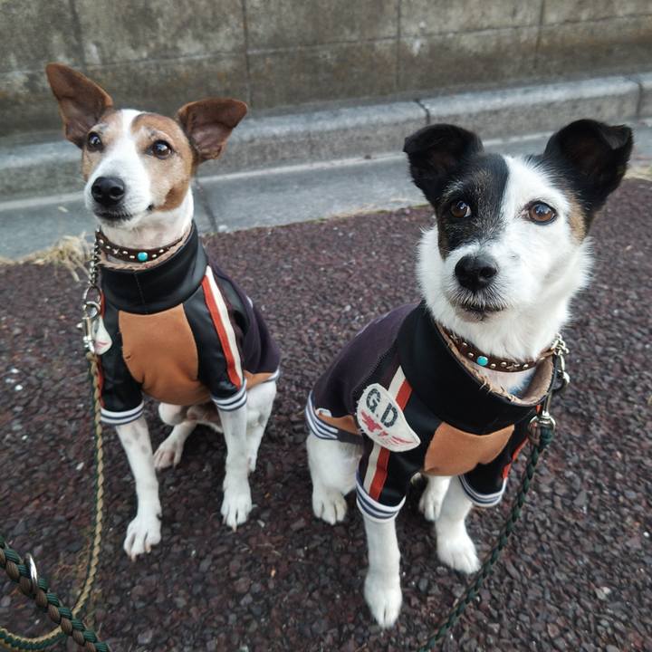 A9c20bc2 df53 4837 9fa8 9d0730282e62 1765059458078