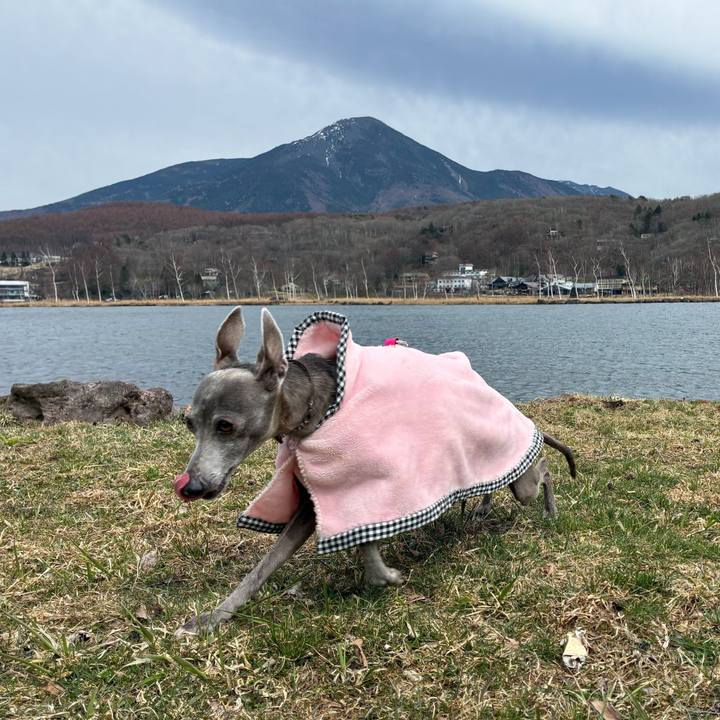 A9c28c36 cd8b 4931 ac73 a37b80babf14 1776512379209