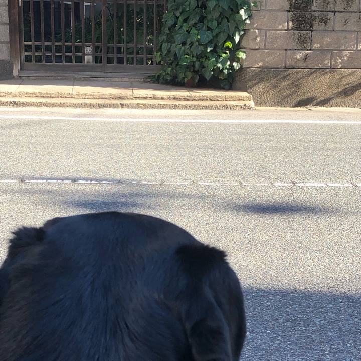 A9c297ec 0def 42c7 b712 a2f7be6d02cd 1599611971015