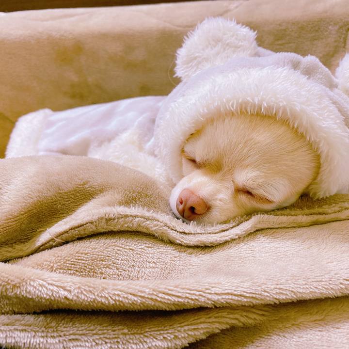 A9c2af8f a321 4008 b812 d4f1722e9daa 1640558547829