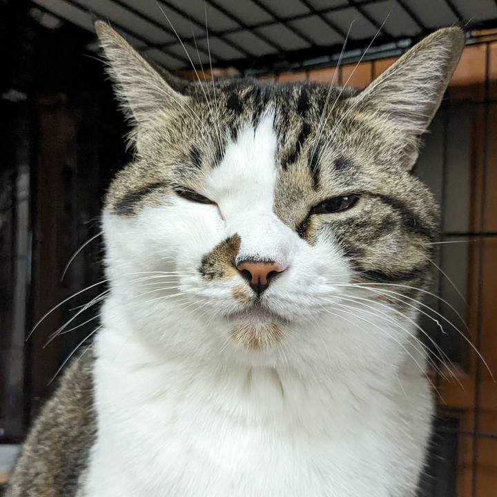 A9c2d8b1 68a9 48ff 8c26 f481fdd9eee0 1698715264988