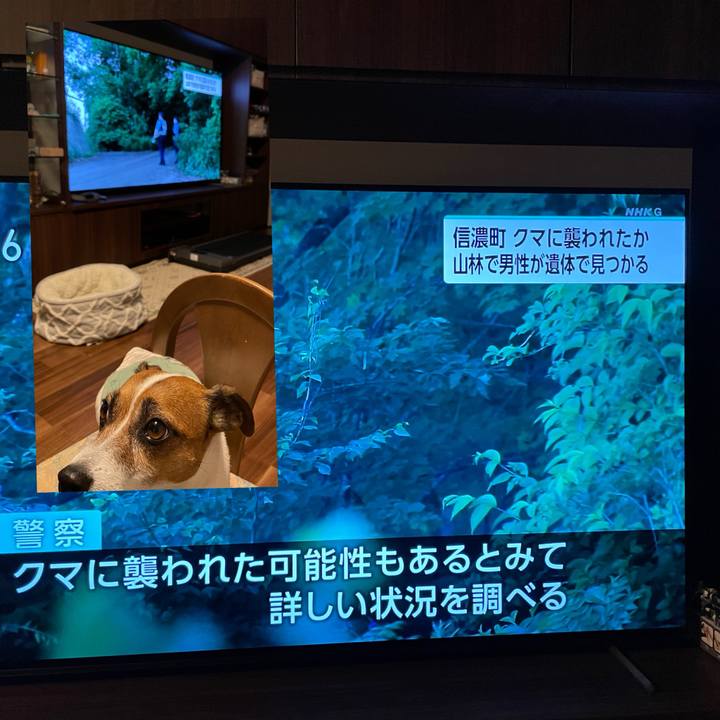 A9c2fe27 6029 4635 aa3f e3832bfde41b 1718970642344