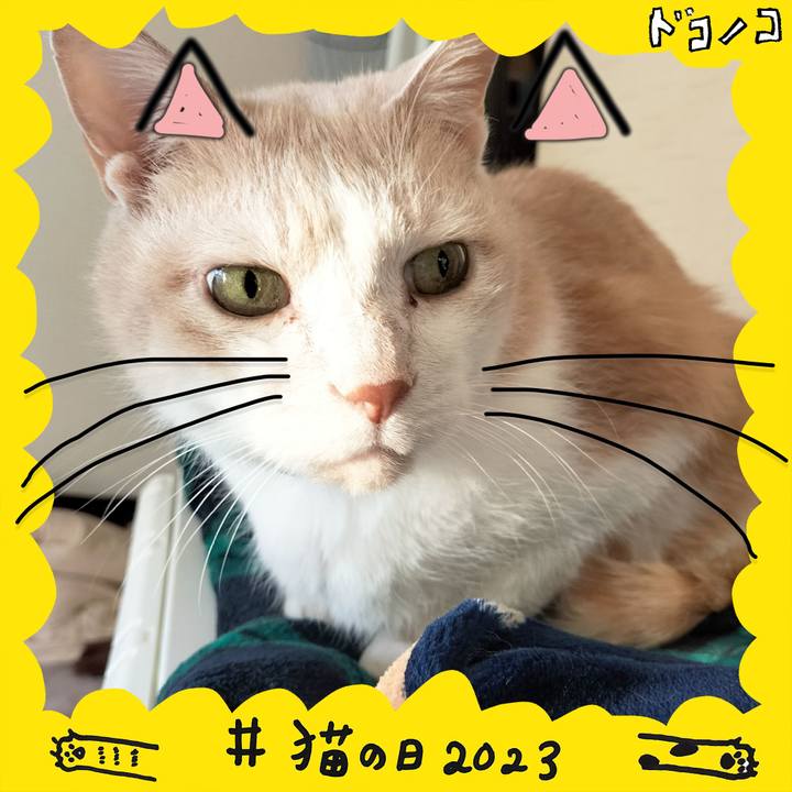 A9c2ff08 b31c 4ab1 99d9 5df1be25cf0f 1677017621209