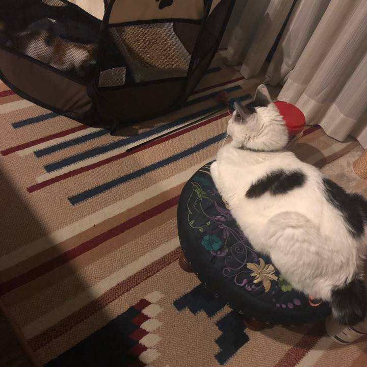 A9c304d8 16db 436d 8c2b 973c705cbb02 1560516008858