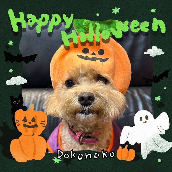 A9c3322d a665 4646 a154 02acb1156039 1730381258438