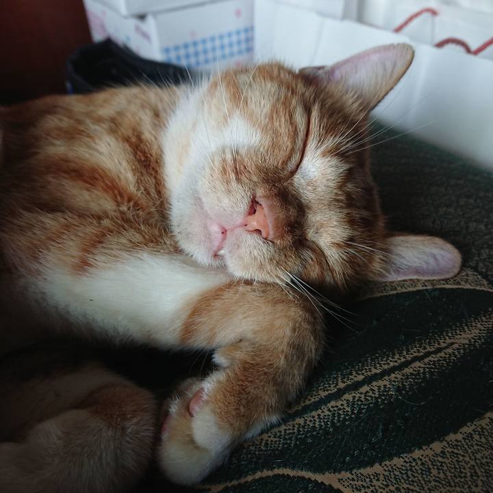 A9c36cf6 ff36 4942 9476 e719e6b4e008 1566596655700