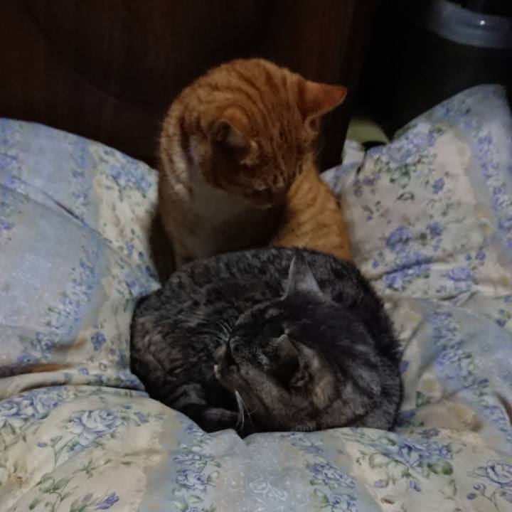 A9c38a51 4d15 4d76 bfa8 1620ec08a070 1578573712219