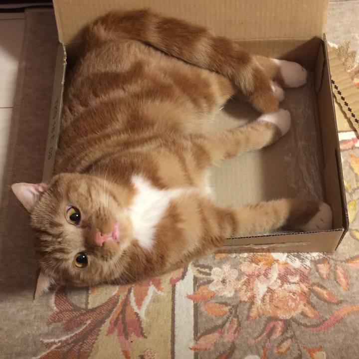 A9c38b4d e9d2 4296 84f4 acf546875b35 1527463656960