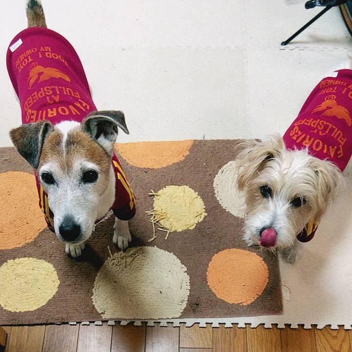 A9c3ce06 d87f 435a 81e5 bc94d1b1178b 1580424045642