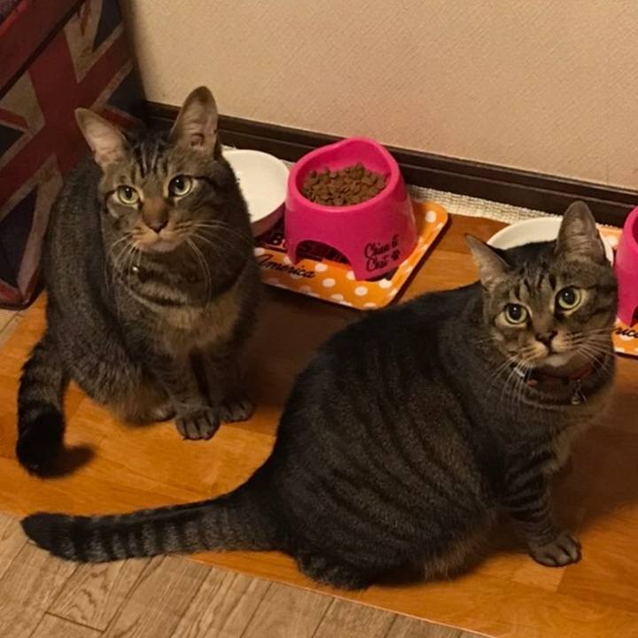 A9c3e093 6367 4eca beb7 9711202eaaf2 1625492565652