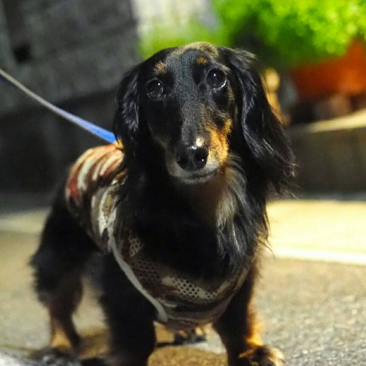 A9c408f2 6d0d 4afa 8398 0ca26a904638 1596371386146