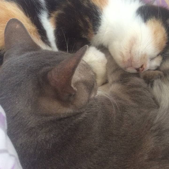 A9c44a7e 4139 44ca a356 3d04b85199ea 1537505425197