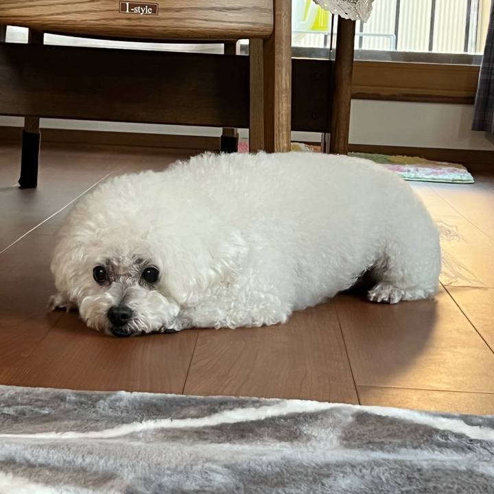 A9c4591d fe8d 449b a525 c8eca86f18d8 1701592396314