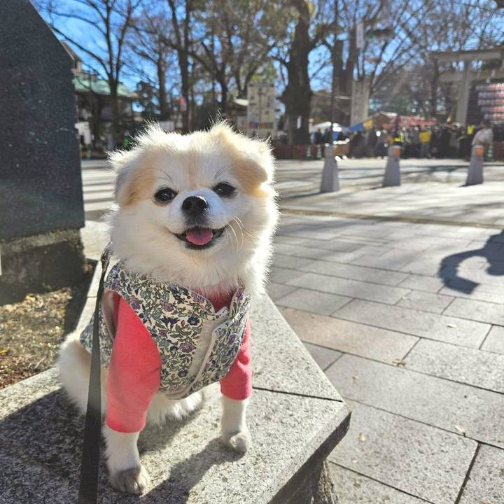 A9c46578 8340 4e00 9787 0b41d31f410f 1767453828764