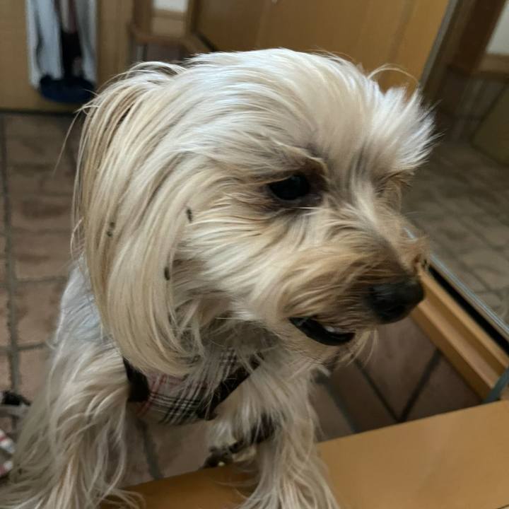 A9c4de06 3cab 4295 9af4 42ca134a13c1 1623318904975