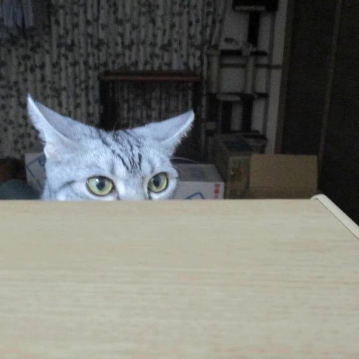 A9c4fb0d 5fe2 484d 9c9f a0b1fe1030a2 1575546556069