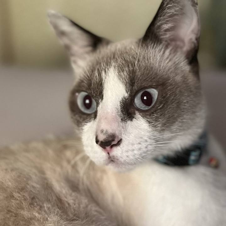 A9c51ead 38c5 4c02 9a4a fad5b8348125 1770293855137