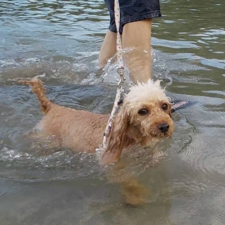 A9c5308b d6d8 43eb be2b 35e93003142b 1627899334360