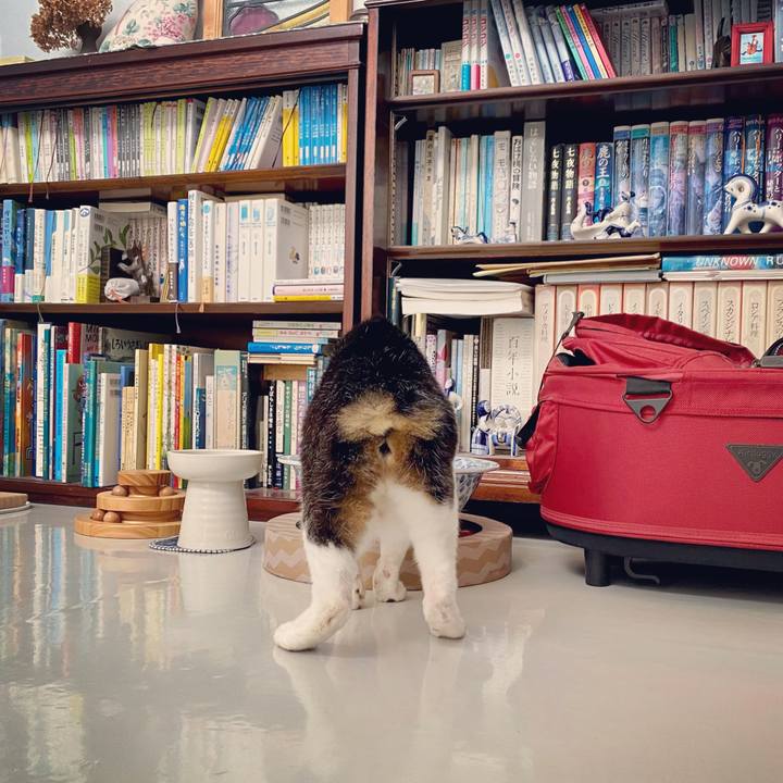 A9c542fe 969f 415e ac92 21cbacc4fef9 1629356717619