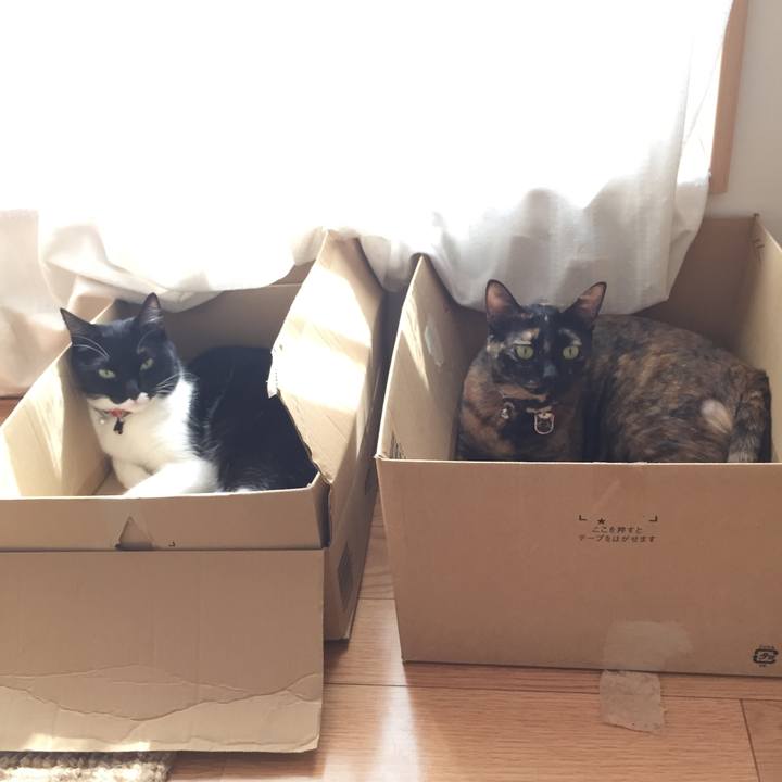 A9c556b5 403c 4c2e 8035 49640a319f71 1538967179211