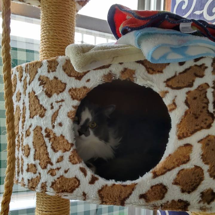 A9c56099 12bd 4161 a506 4a3eee0e1969 1626063802324