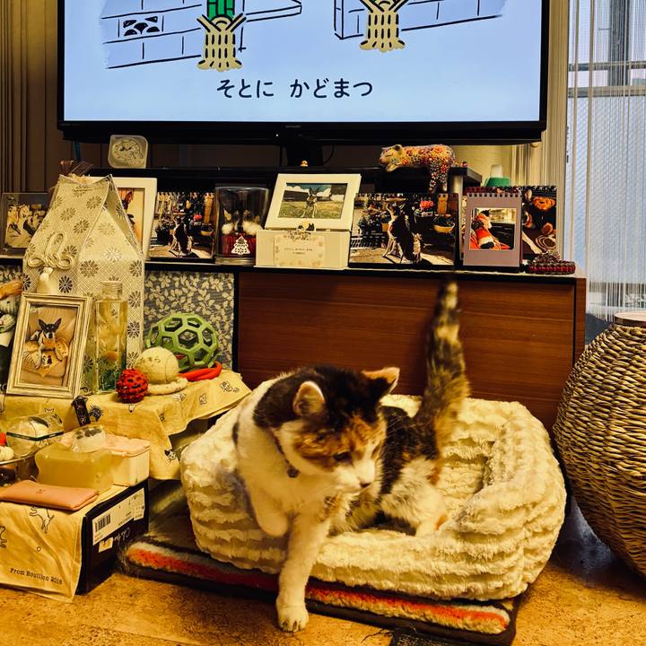 A9c569f7 7042 4981 8272 50922b52b723 1735510510998