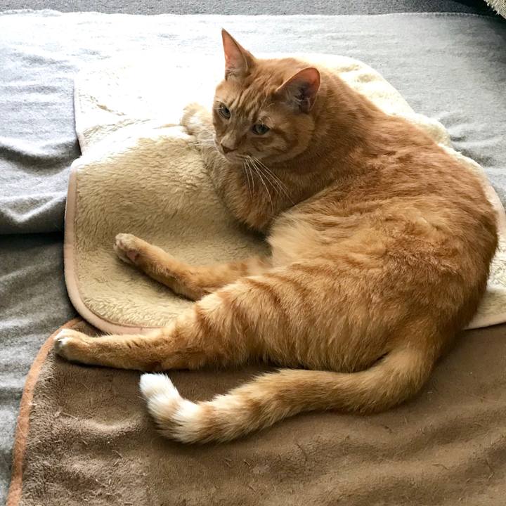 A9c57962 912e 49a3 9cf3 d86a17095bed 1557362721327