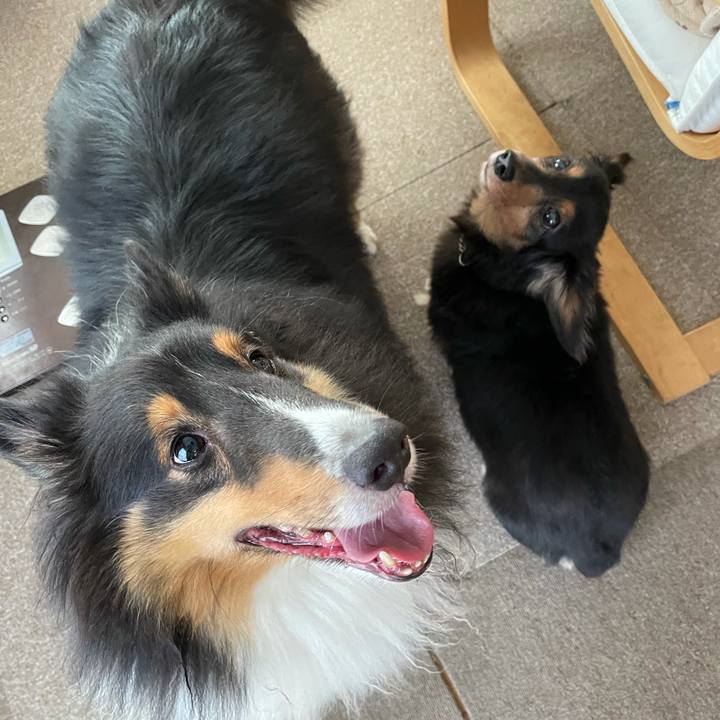 A9c59616 14c3 486e b5d7 b1157aa38330 1630966014313