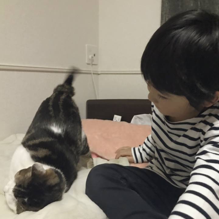 A9c5cea7 3151 483b b2fe c196354cdd80 1545454439533