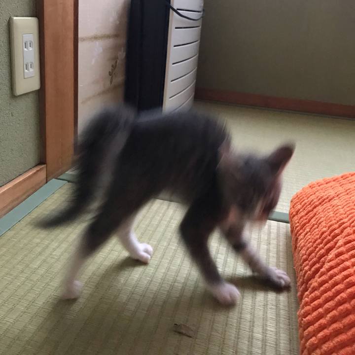 A9c5d217 8dc6 4060 ac71 25e5fa456e80 1562202933617