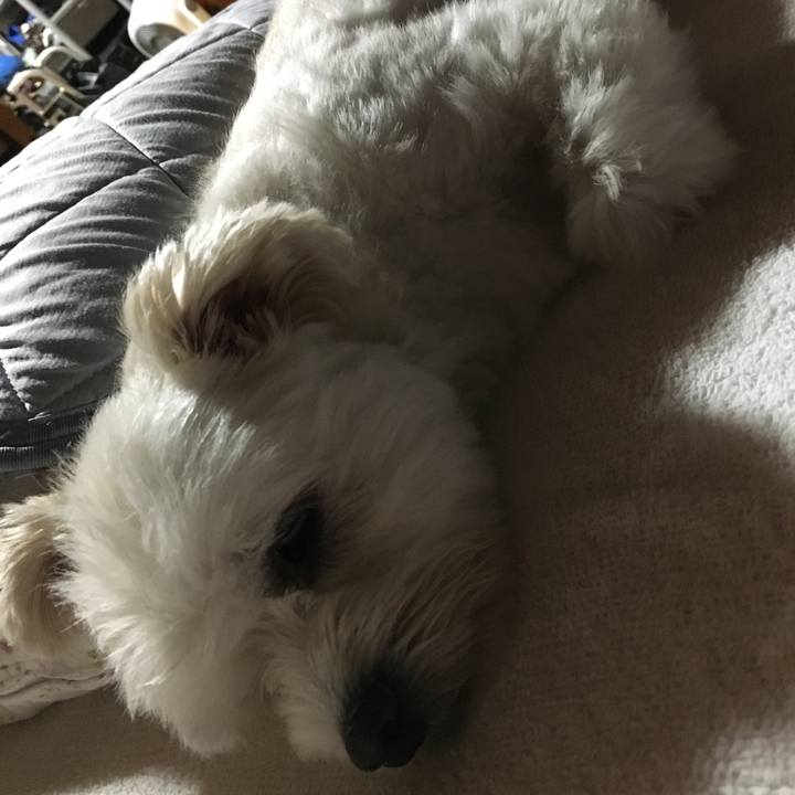 A9c5f0f8 9ccf 4717 8ed3 29be4ddb46b2 1536662596125