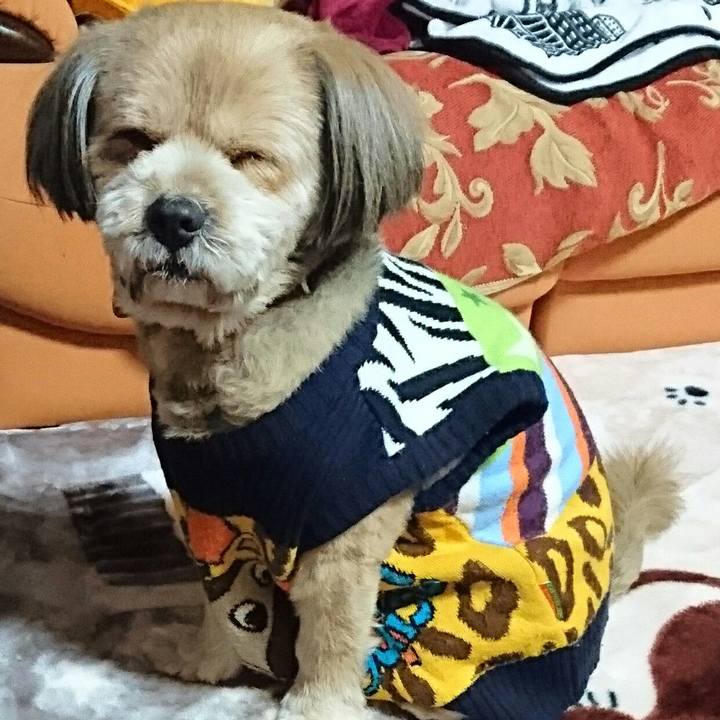 A9c66270 1a4b 4325 86c4 4b01d31d6456 1517477470617