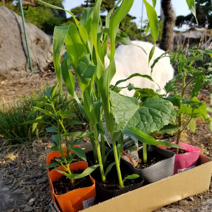 A9c6badb 3402 4be7 8c41 0d35a25b0955 1653488490235