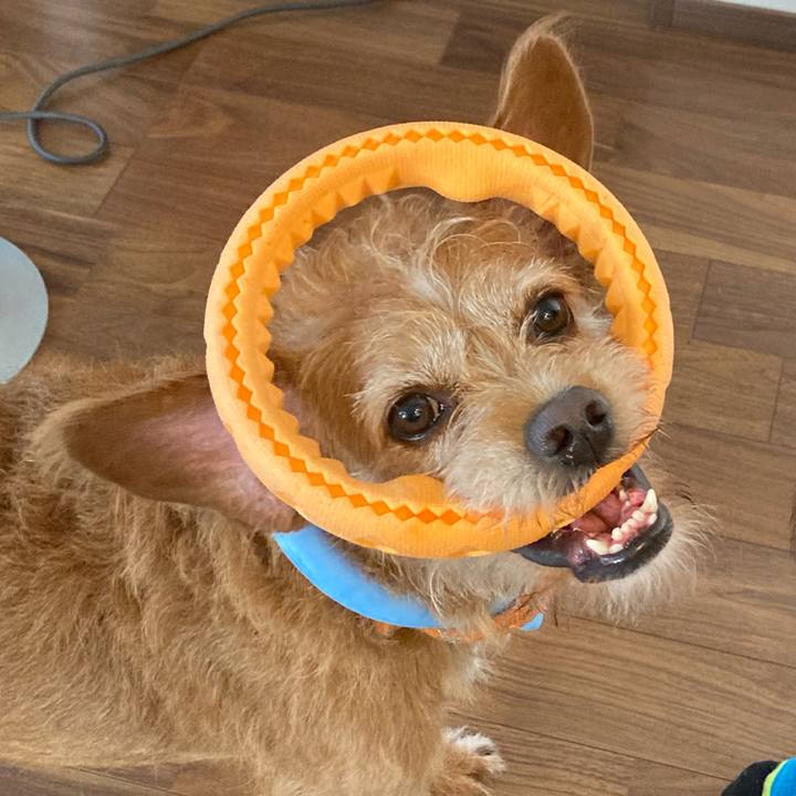 A9c6dbf0 0cb1 4332 9cca c9270f988380 1663541152864